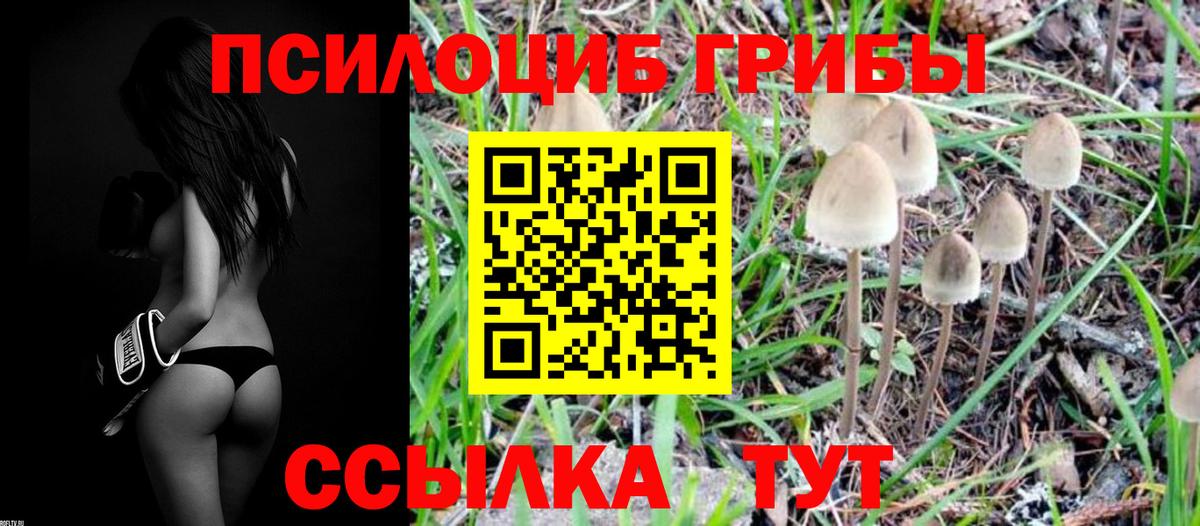 Галлюциногенные грибы ЛСД Ахтубинск